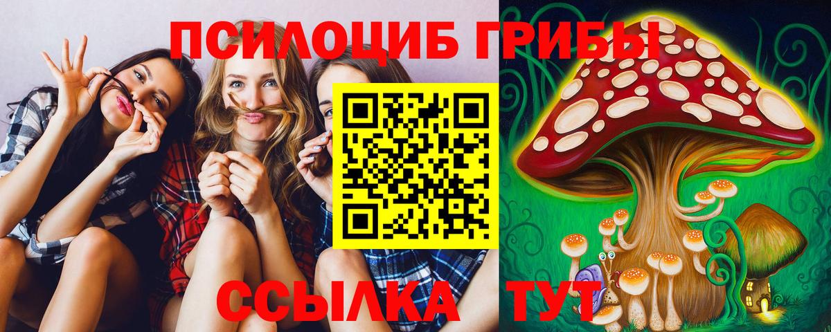 Владимир  Галлюциногенные грибы Cubensis  Псилоцибиновые грибы мухоморы  Вход с VPN 