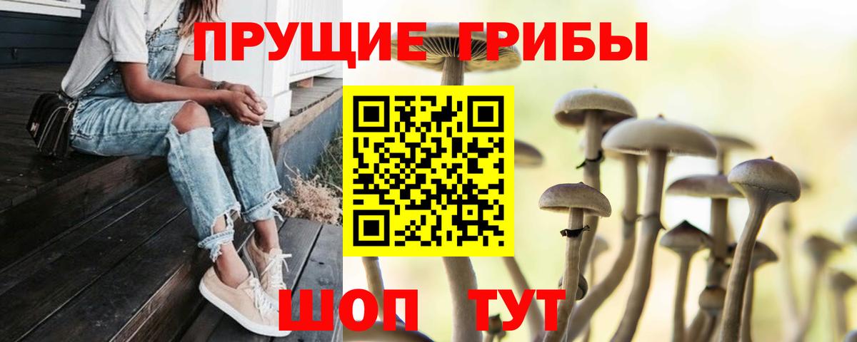 Псилоцибиновые грибы GOLDEN TEACHER Владимир